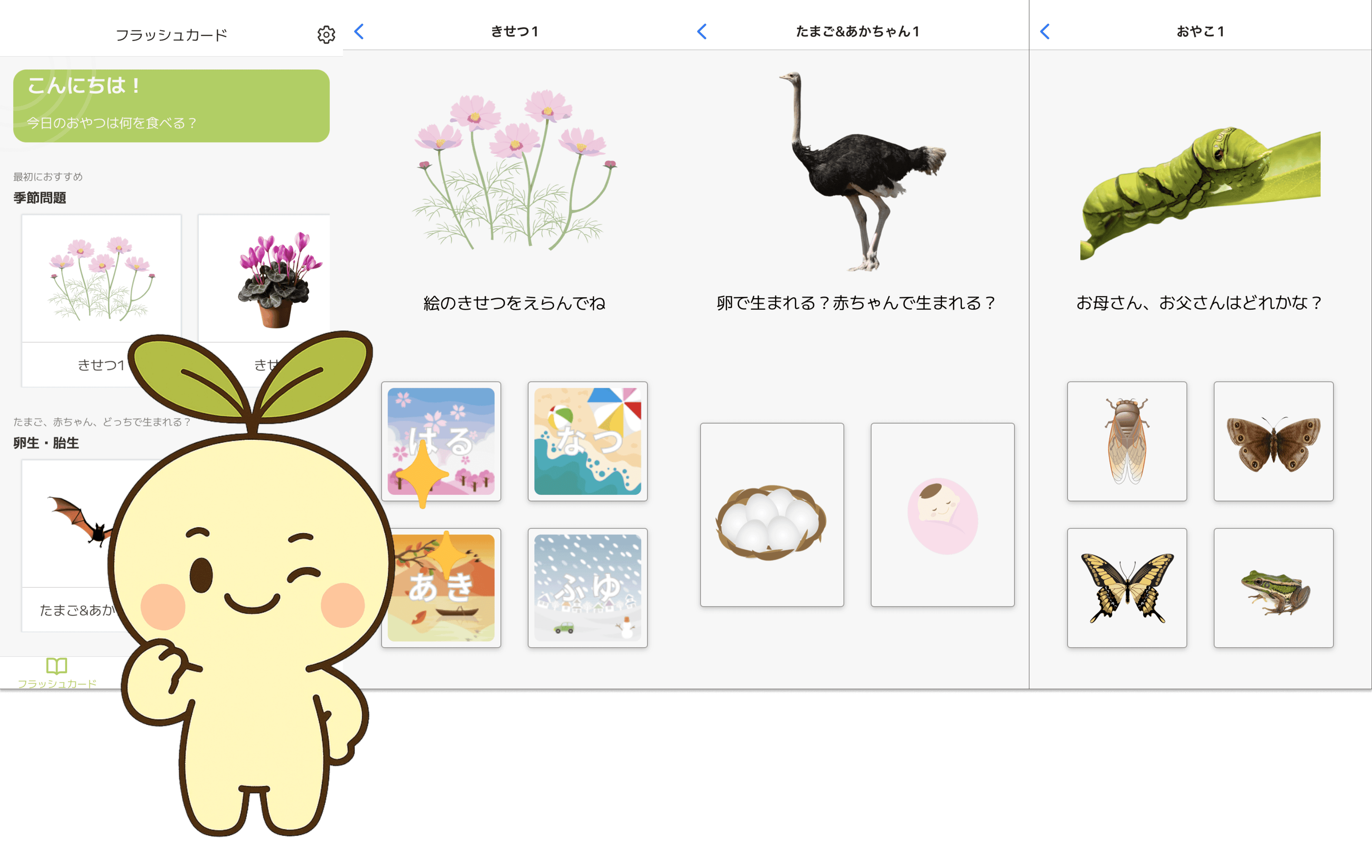楽しく教養が身につくフラッシュカード！